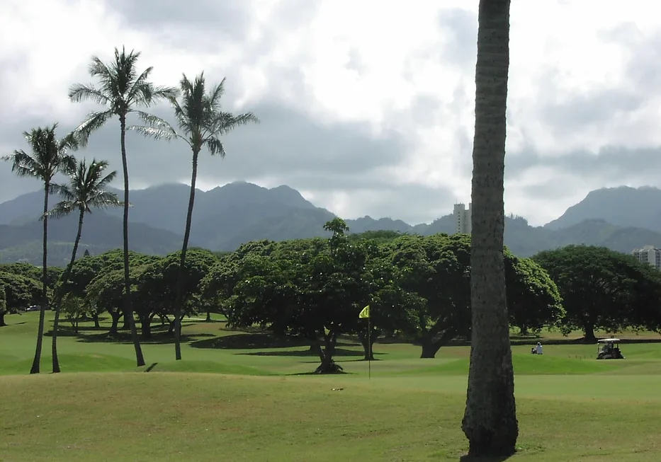 A golf course with trees and mountains in the background.